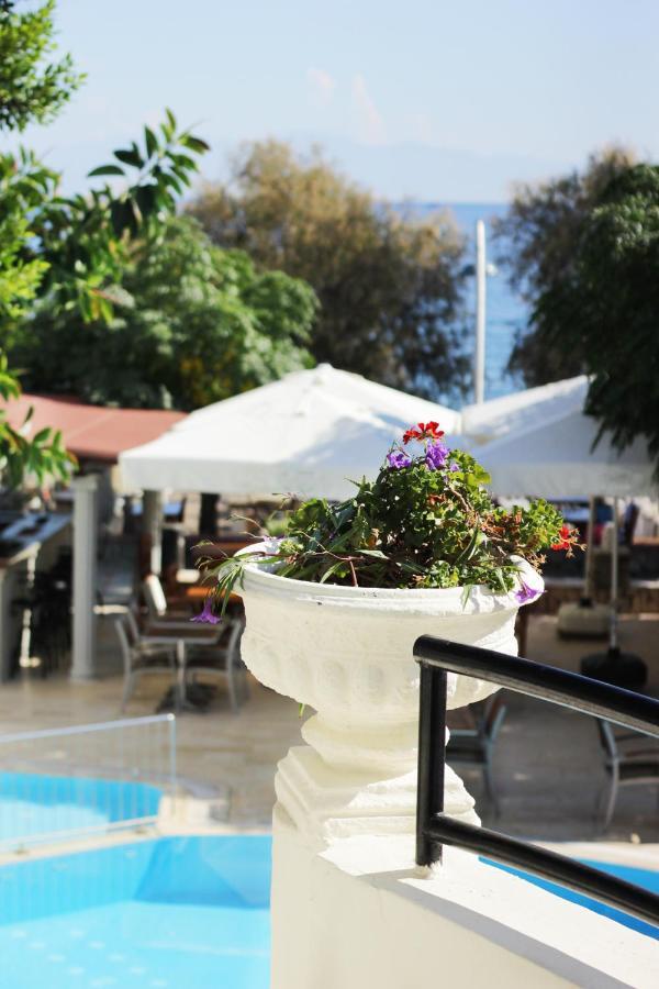Acelya Otel ボドルム エクステリア 写真